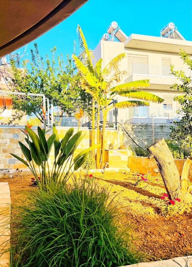 Glaros Beach Apartment Като-Даратсо Экстерьер фото